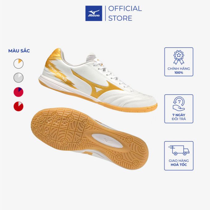Mizuno Monarcida Sala Pro IN